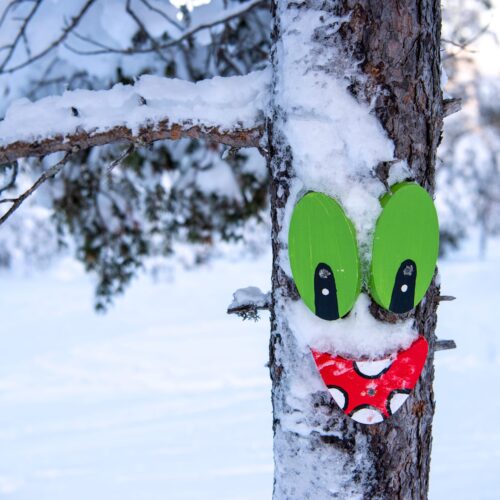 Snow-covered trees with colourful decorations forming faces in sunny winter landscape