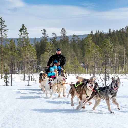Ett hundspann drar en släde genom ett snötäckt skogslandskap. Flera glada slädhundar springer längst fram, medan en vuxen står bak på släden och barn sitter åkande, allt under klar himmel bland tallar i vintermiljö.
