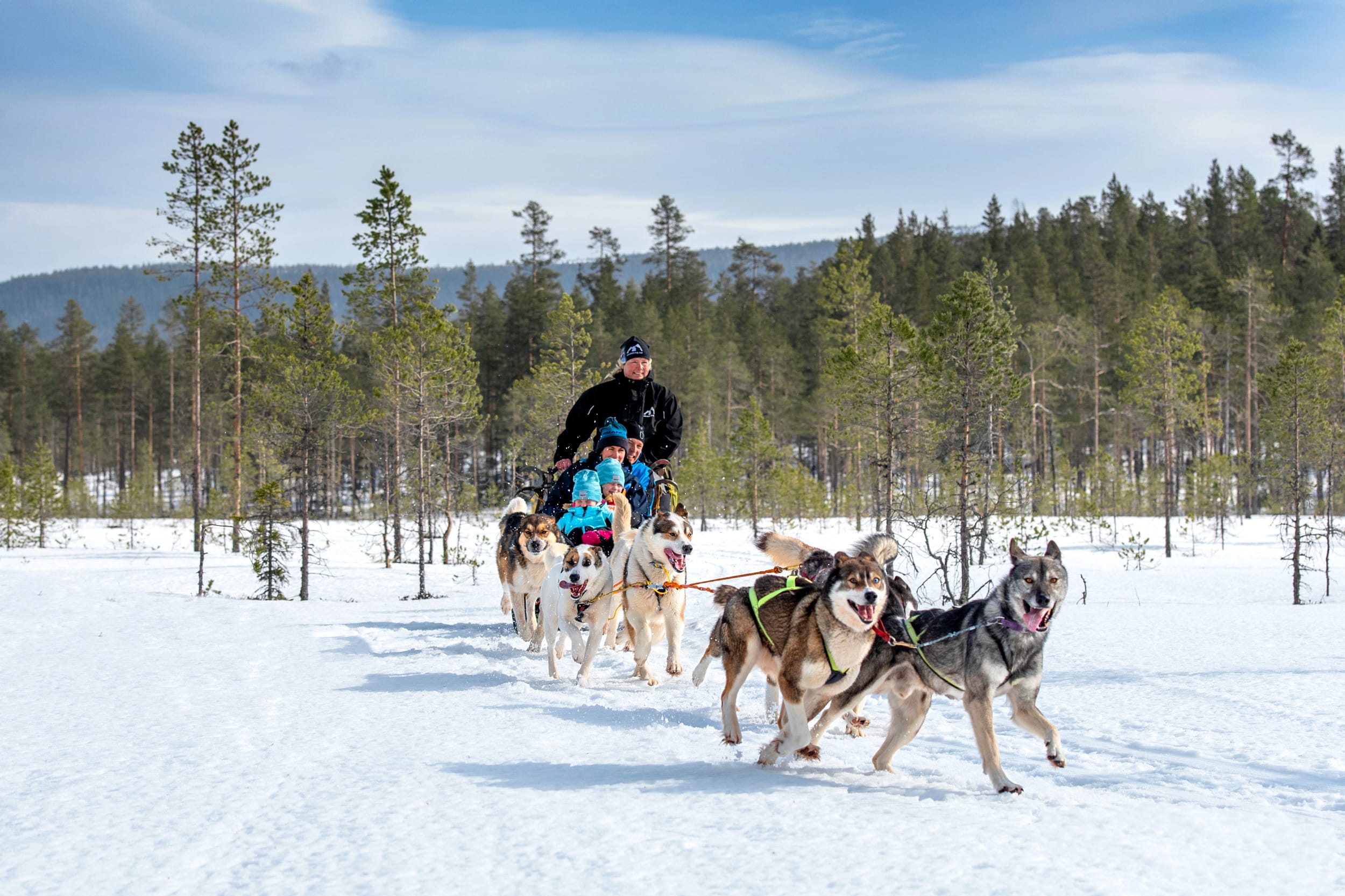 Ett hundspann drar en släde genom ett snötäckt skogslandskap. Flera glada slädhundar springer längst fram, medan en vuxen står bak på släden och barn sitter åkande, allt under klar himmel bland tallar i vintermiljö.