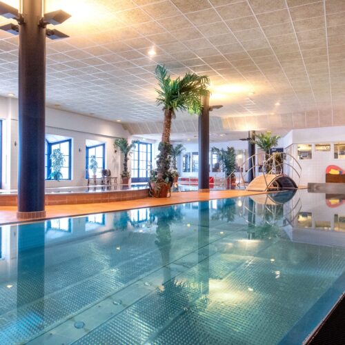 Indendørs swimmingpool med bro, palmer og stærk belysning i et spa-miljø