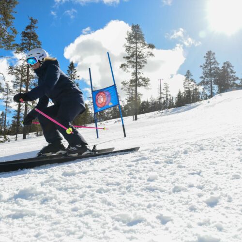 Person skiing in sunny ski area with gates and snow-covered trees in the background