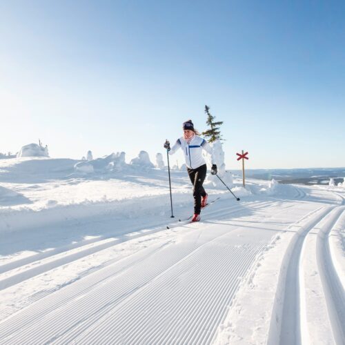 Person cross-country skiing on freshly prepared tracks in open mountain landscape under clear blue sky