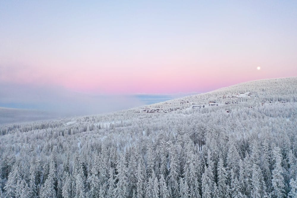 Snötäckta fjällskogar under rosa solnedgångshimmel med måne synlig ovanför horisonten