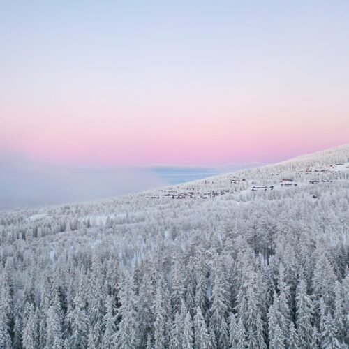 Snow-covered mountain forests under a pink sunset sky with the moon visible above the horizon