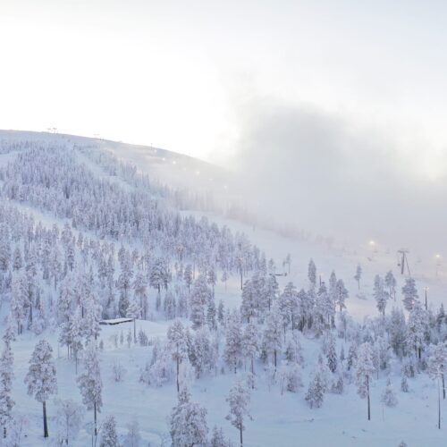Snötäckta fjäll med glesa granar och skidbackar, dimma sveper in under ljus vinterhimmel