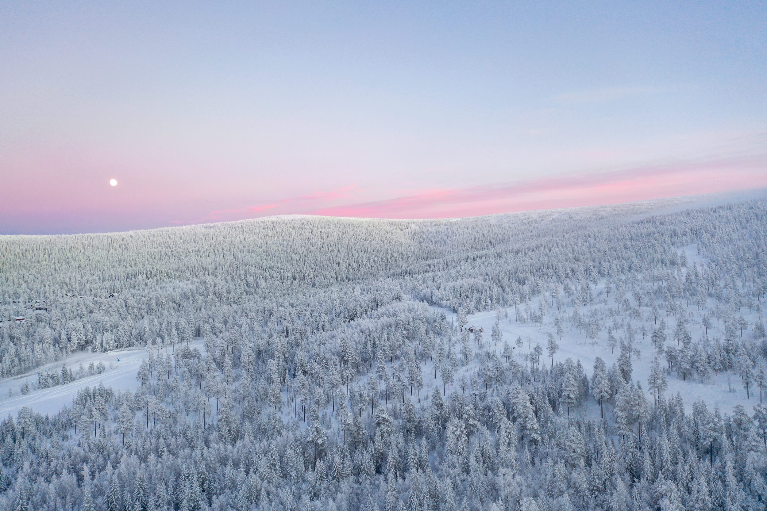 Snow-covered mountain forest in soft winter light with pink sky and moon on the horizon