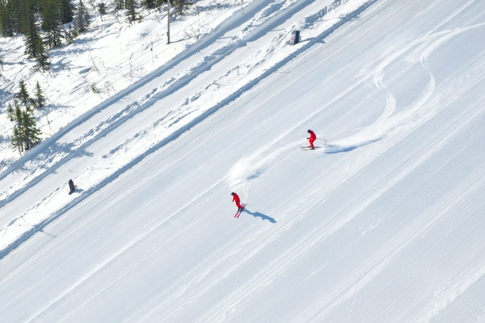Två skidåkare i röda kläder åker nedför bred, nypistad skidbacke med tallskog