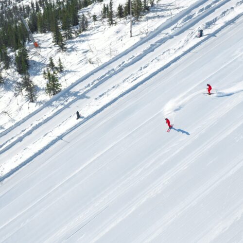 To skiløbere i rødt tøj står på ski ned ad en bred, nypræpareret skibakke med fyrreskov.
