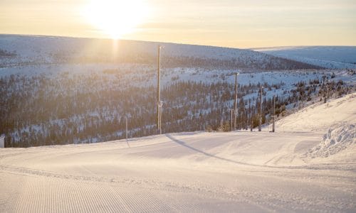 Nypræpareret skibakke ved solopgang med bjergskov og blødt lys i baggrunden
