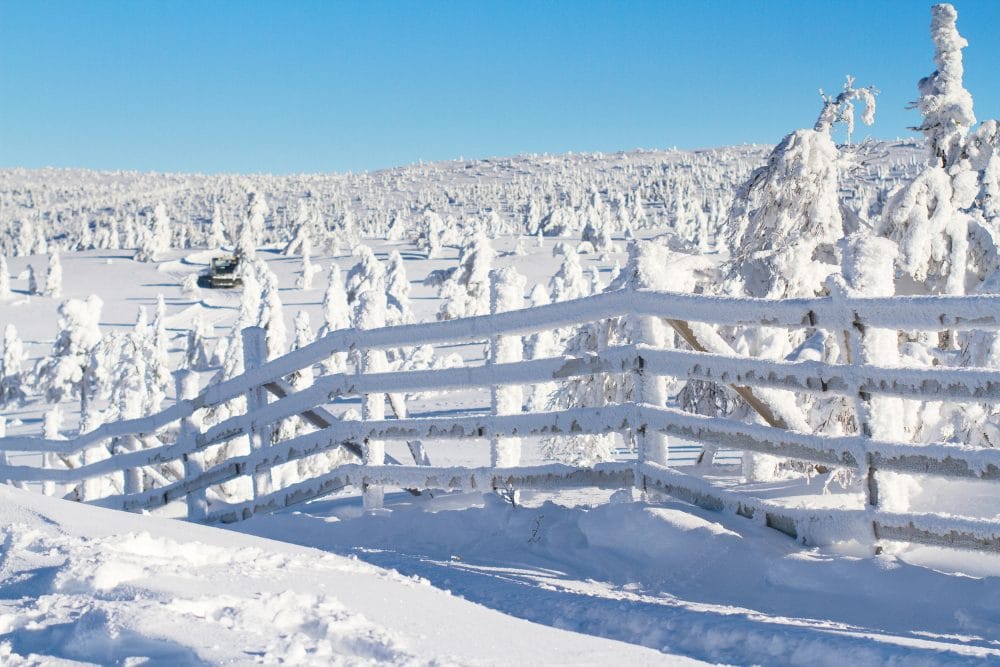 Snedækket træhegn i bjerglandskab med frosne træer og klar blå himmel