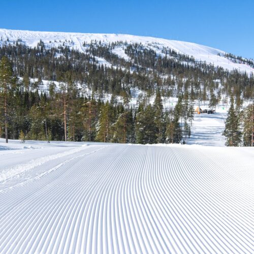 Nypistad skidbacke med parallella spår framför skog och snötäckta fjäll under blå himmel