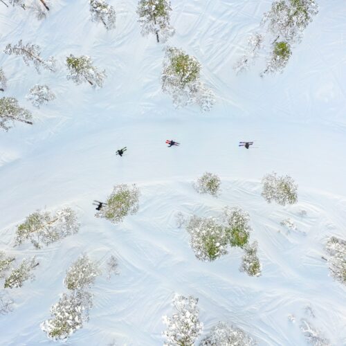 Flera skidåkare på snötäckt skidbacke omgiven av granar under klarblå himmel