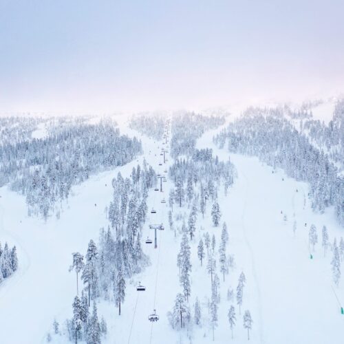 Snedækket bjergskov med stolelifte, der fører op til en tåget top under en lys vinterhimmel