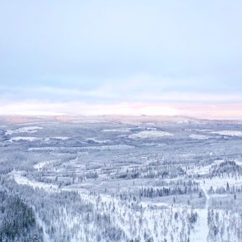 Vidsträckt snötäckt fjällskog under blek vinterhimmel med rosa ljus vid horisonten