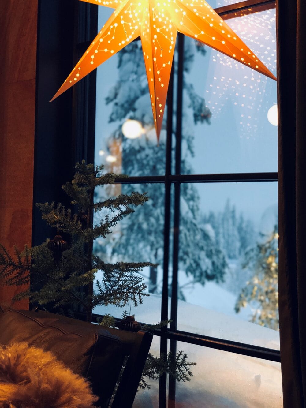 Shining poinsettia in window overlooking snow-covered fir trees and winter landscape