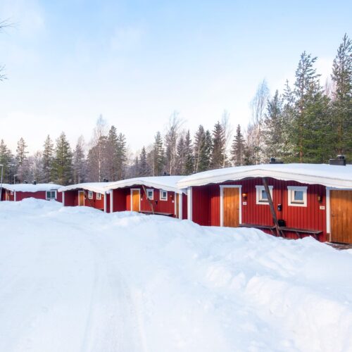 Several red cottages with white details, snow-covered roofs, wooden gates and surrounding pine forest along a ploughed winter road.