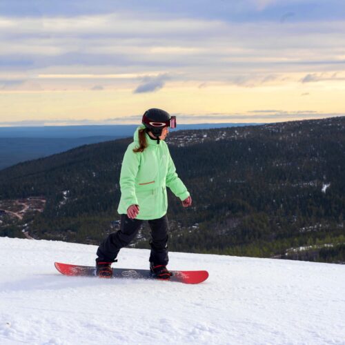 Snowboardere i lysegrønne jakker kører på snedækket bjerg med skov og horisont i baggrunden