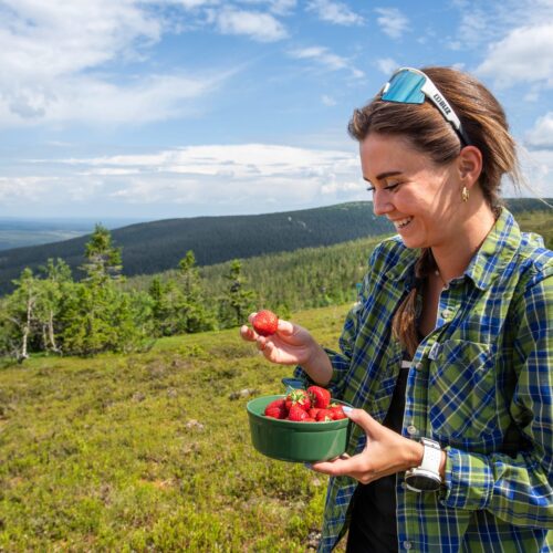 Person håller grön skål med jordgubbar på fjällhed, utsikt över skog och blå himmel