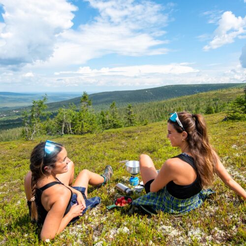 Två personer sitter på fjällhed med stormkök och bär, utsikt över skog och blå himmel