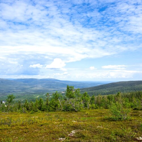Stor bjerghede med grønne skove og blå himmel med skyer i horisonten