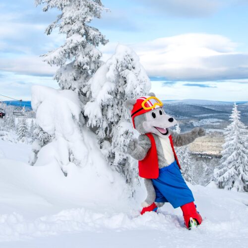 Maskoten Vargy i röd väst och blå byxor står bland snötäckta granar med fjällutsikt