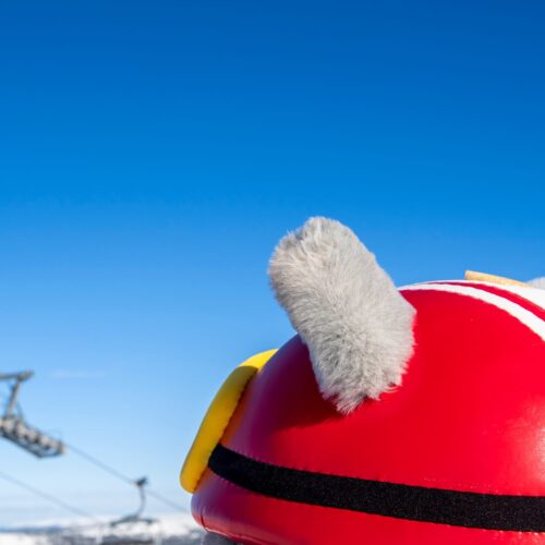 Close-up of Vargy's red helmet with white stripes and grey ears against blue sky