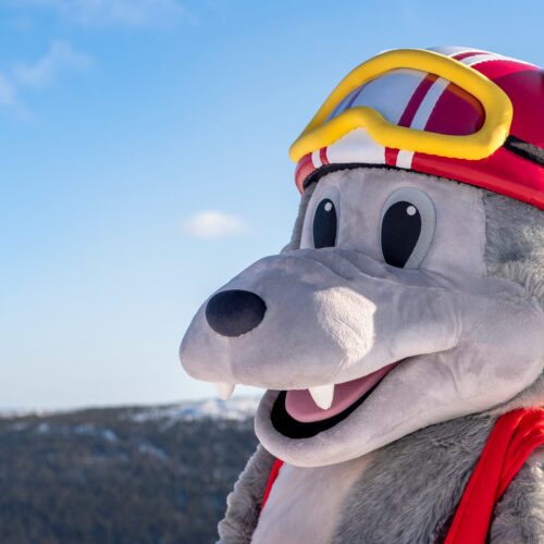 Maskotten Vargy med rød hjelm og vest står på en skibakke mod blå himmel