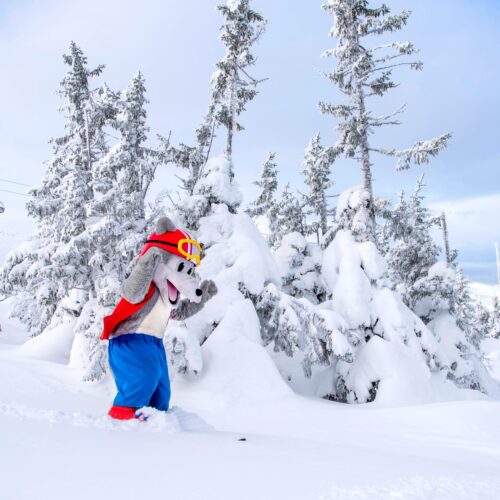 Vargy the mascot in a red waistcoat and blue trousers skis in deep snow among snow-covered fir trees