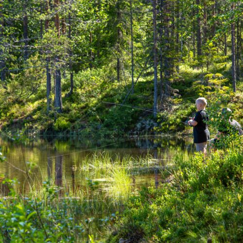 Person, der fisker ved stille skovsø omgivet af tæt grønt og træer