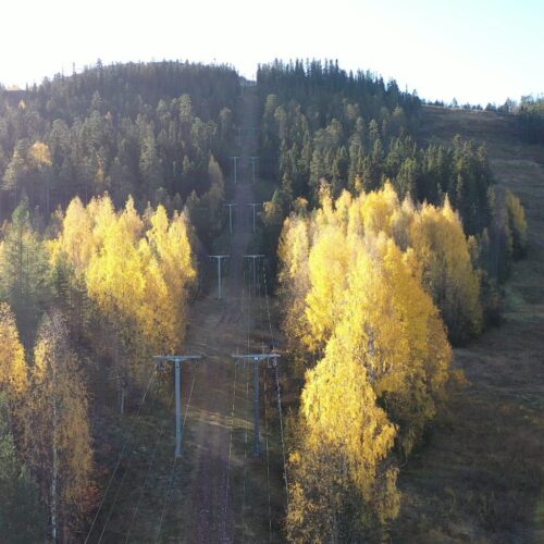 Autumn landscape with ski slope and lift poles surrounded by yellow birches and green firs, with forested mountains in the background