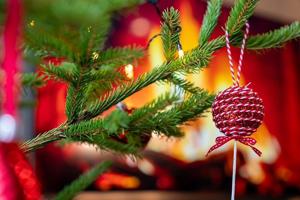 Närbild på julgransgren med röd juldekoration och ljusslinga framför brasa.