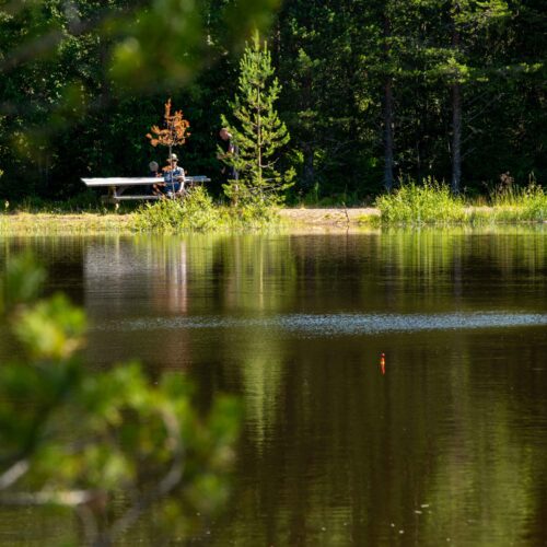 Fiskeflåde i en stille skovsø med frodige træer og en bænk ved bredden