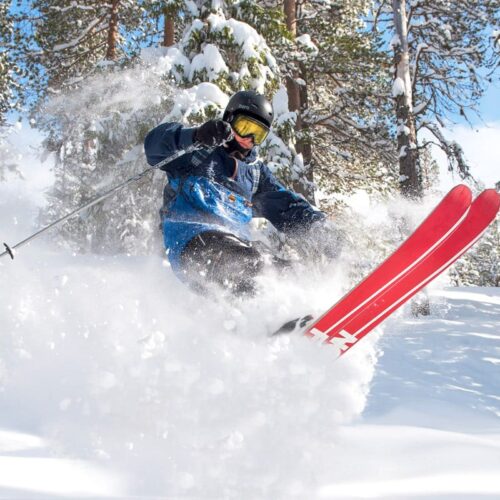 Skiers with red skis jump in powder snow among snow-covered trees in sunny forest landscape