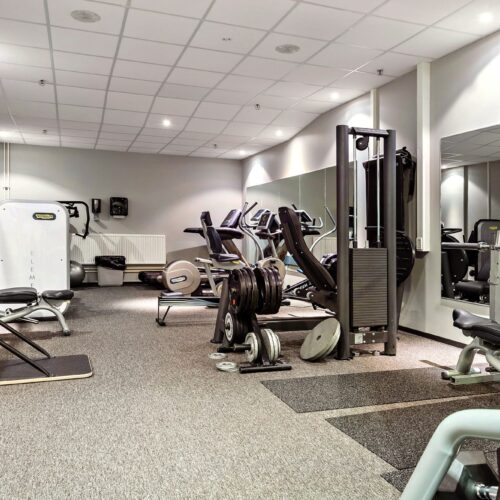 Modernt gym med träningsmaskiner, fria vikter och spegelvägg under ljus takbelysning.