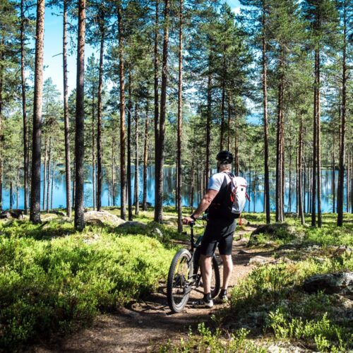 Cyclist with mountain bike standing on forest path overlooking clear blue lake between pine trees.