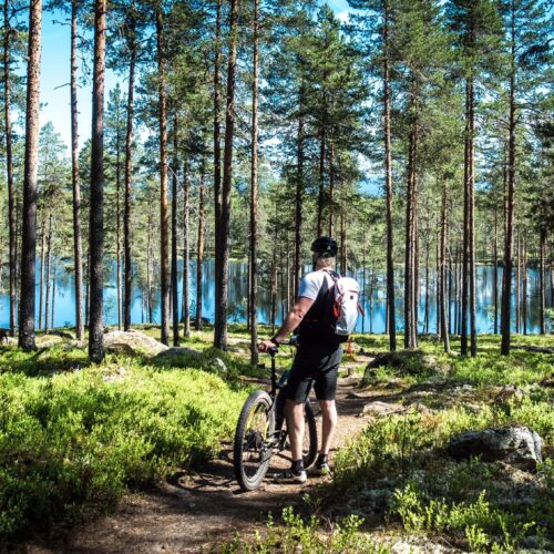 Cyklist med mountainbike står på skogsstig med utsikt mot klarblå sjö mellan tallar.